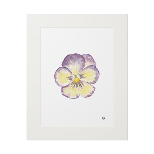 "Single Pansy" Fine Art Print