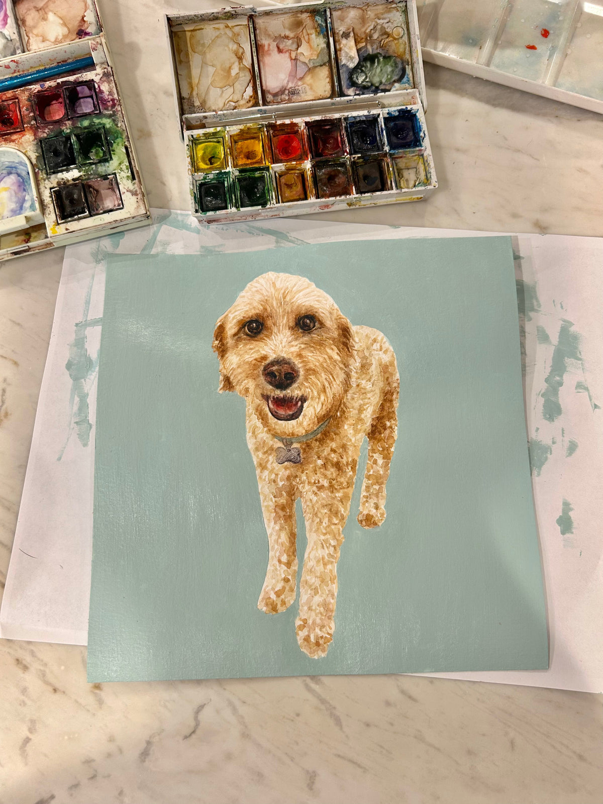 Pet Portraits Examples