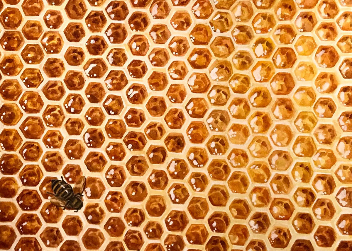 Close-up of a honeycomb cell structure filled with golden honey, with a small bee visible near the lower left area.