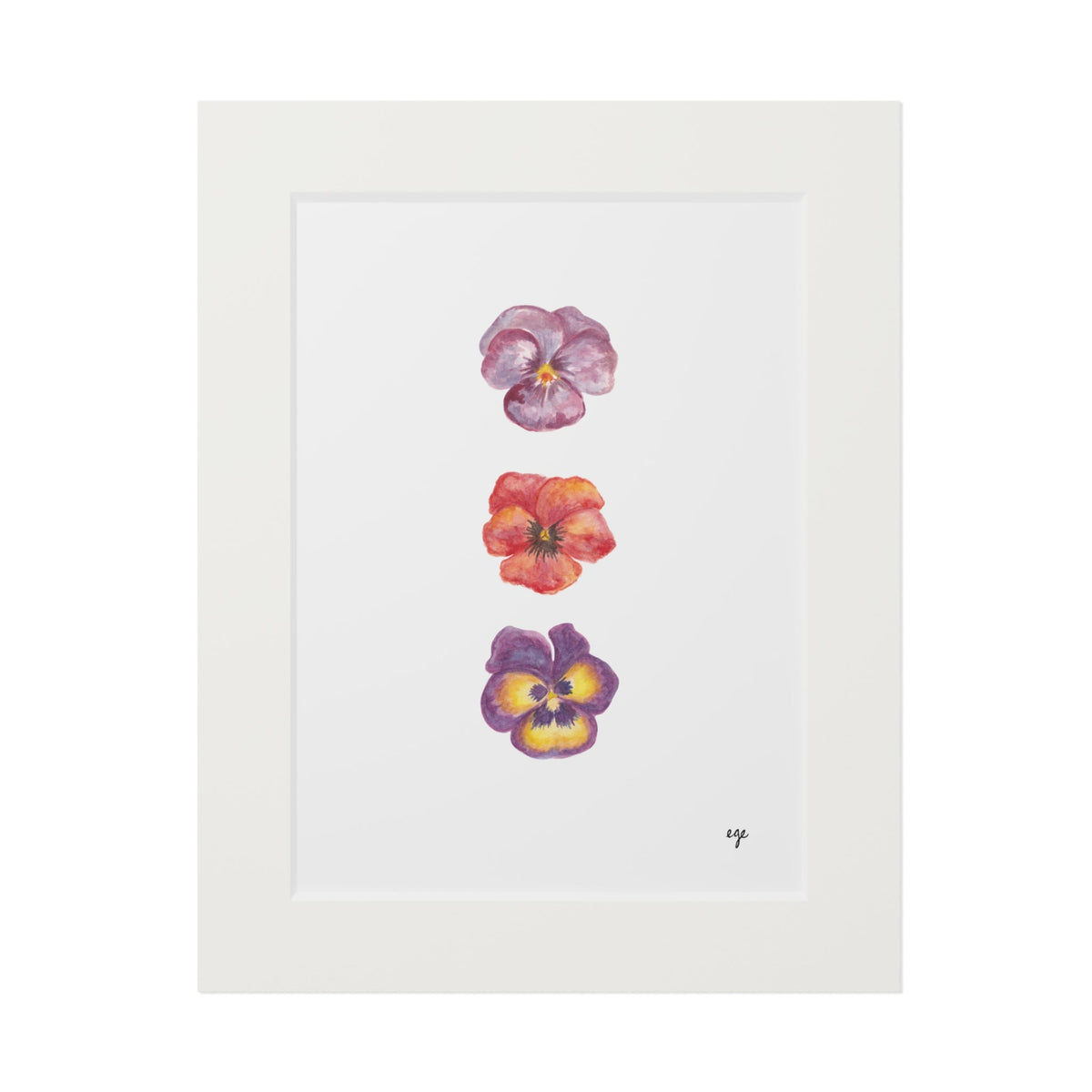 "Berry Bloom" Pansy Trio Fine Art Print