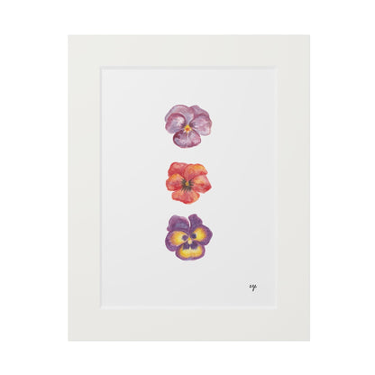 "Berry Bloom" Pansy Trio Fine Art Print