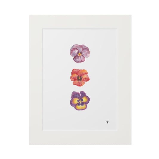 "Berry Bloom" Pansy Trio Fine Art Print