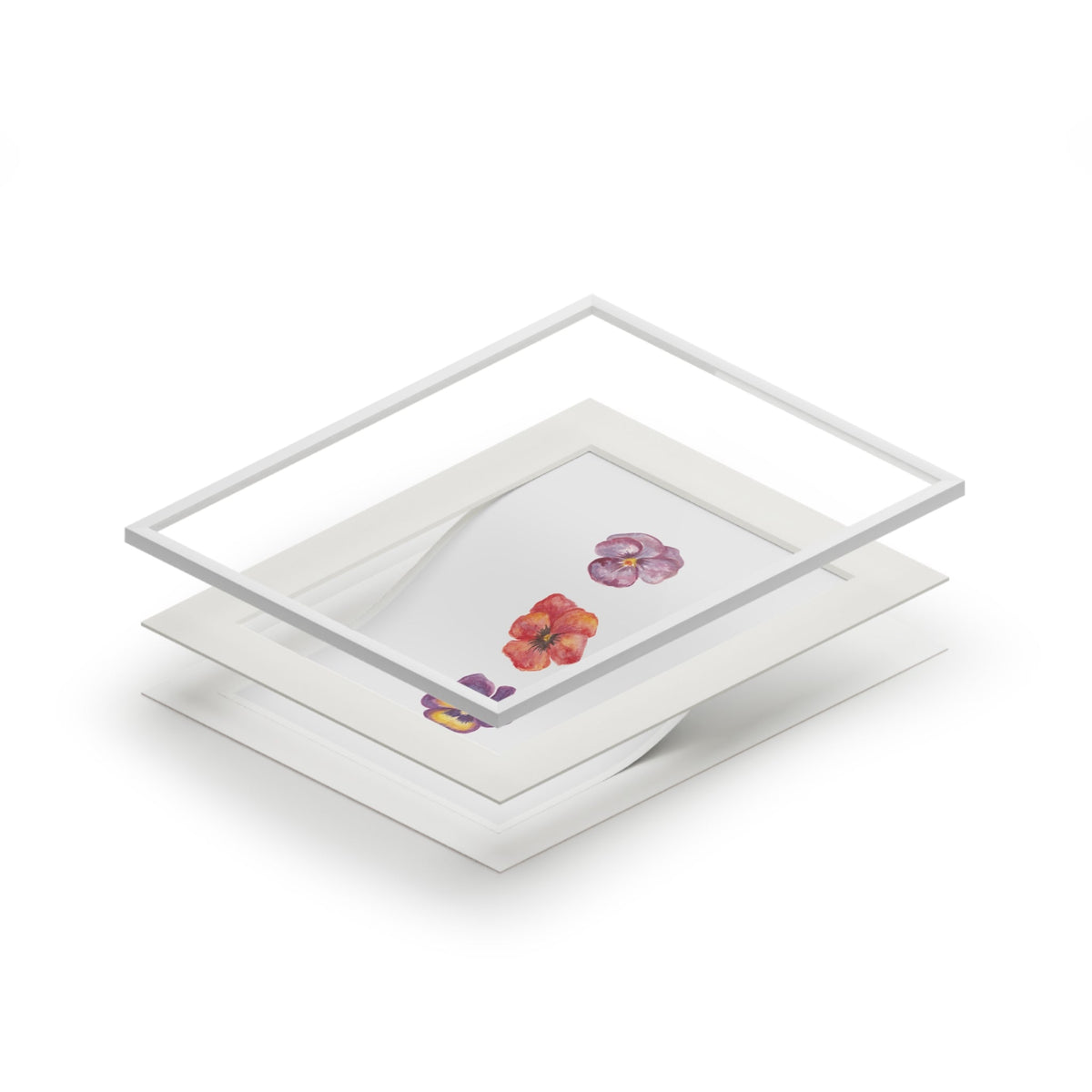 "Berry Bloom" Pansy Trio Fine Art Print