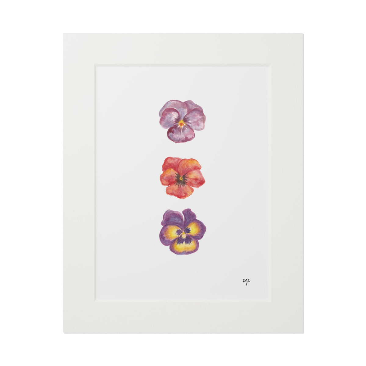 "Berry Bloom" Pansy Trio Fine Art Print