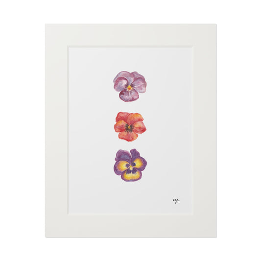 "Berry Bloom" Pansy Trio Fine Art Print