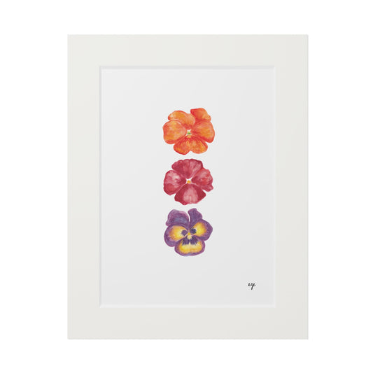 "Autumn Blaze" Pansy Trio Fine Art Print