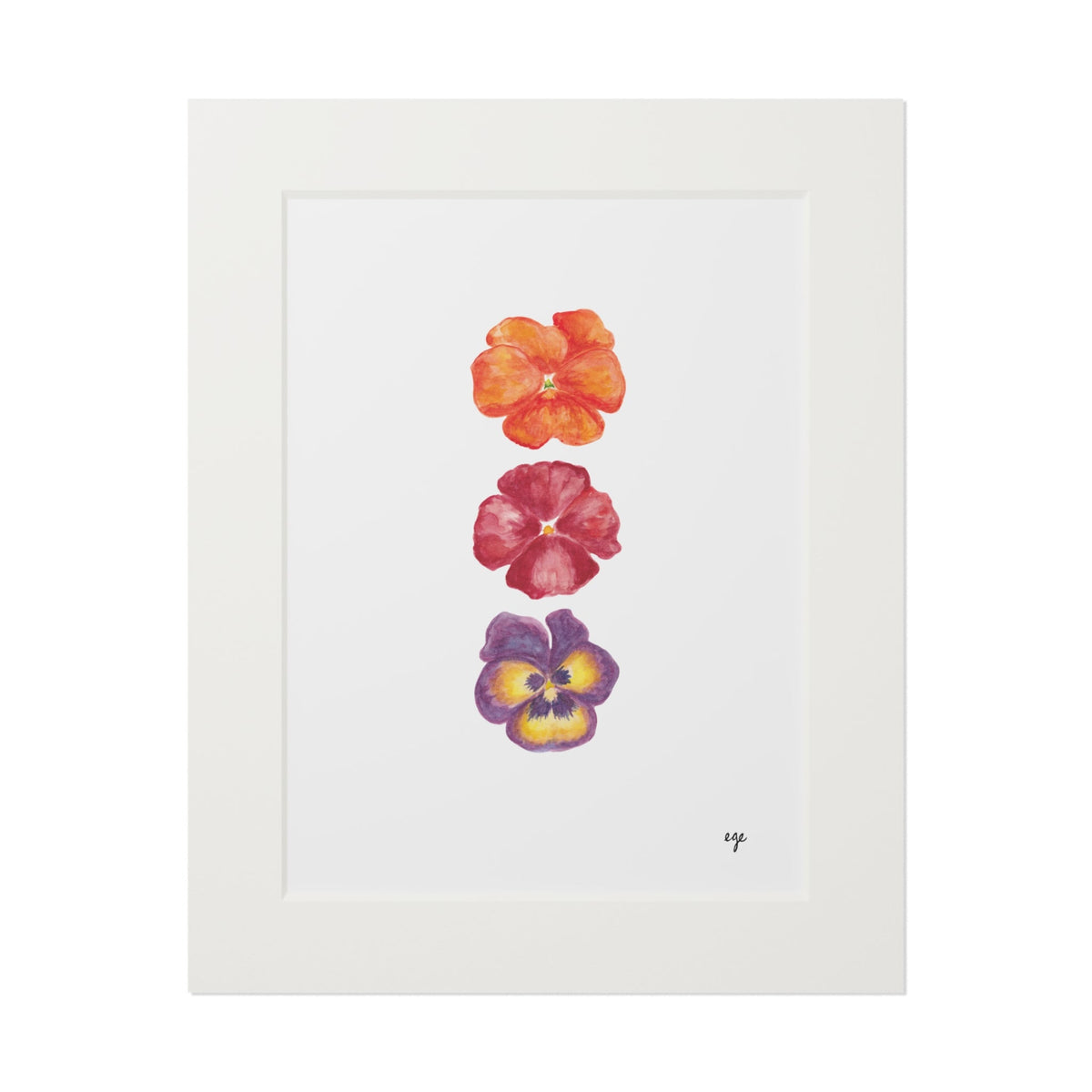 "Autumn Blaze" Pansy Trio Fine Art Print