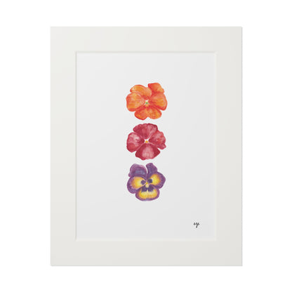 "Autumn Blaze" Pansy Trio Fine Art Print