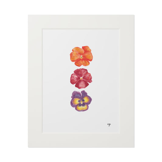 "Autumn Blaze" Pansy Trio Fine Art Print