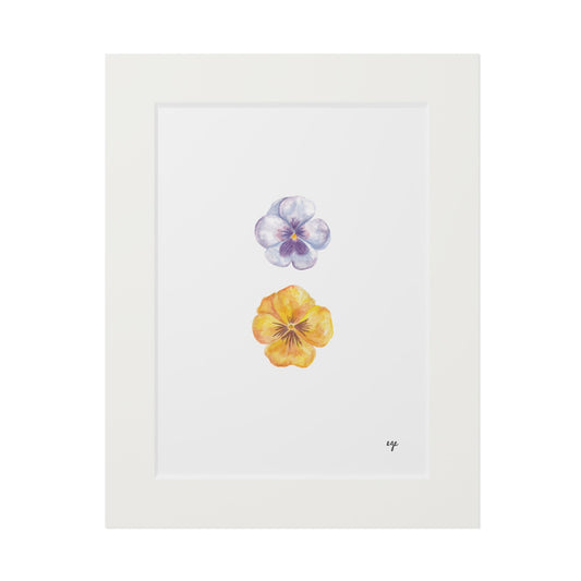 "Bluebell" Pansy Duo Fine Art Print