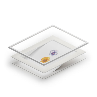 "Bluebell" Pansy Duo Fine Art Print