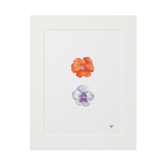 "Citrus & Periwinkle" Pansy Duo Fine Art Print