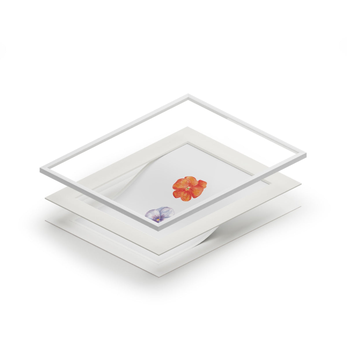 "Citrus & Periwinkle" Pansy Duo Fine Art Print