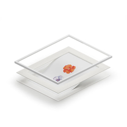 "Citrus & Periwinkle" Pansy Duo Fine Art Print