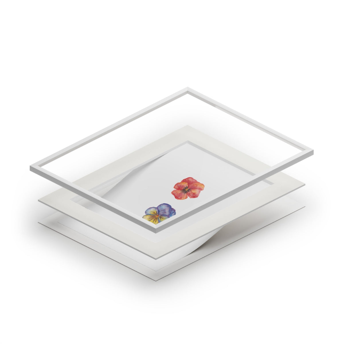 "Crimson & Iris" Pansy Duo Fine Art Print