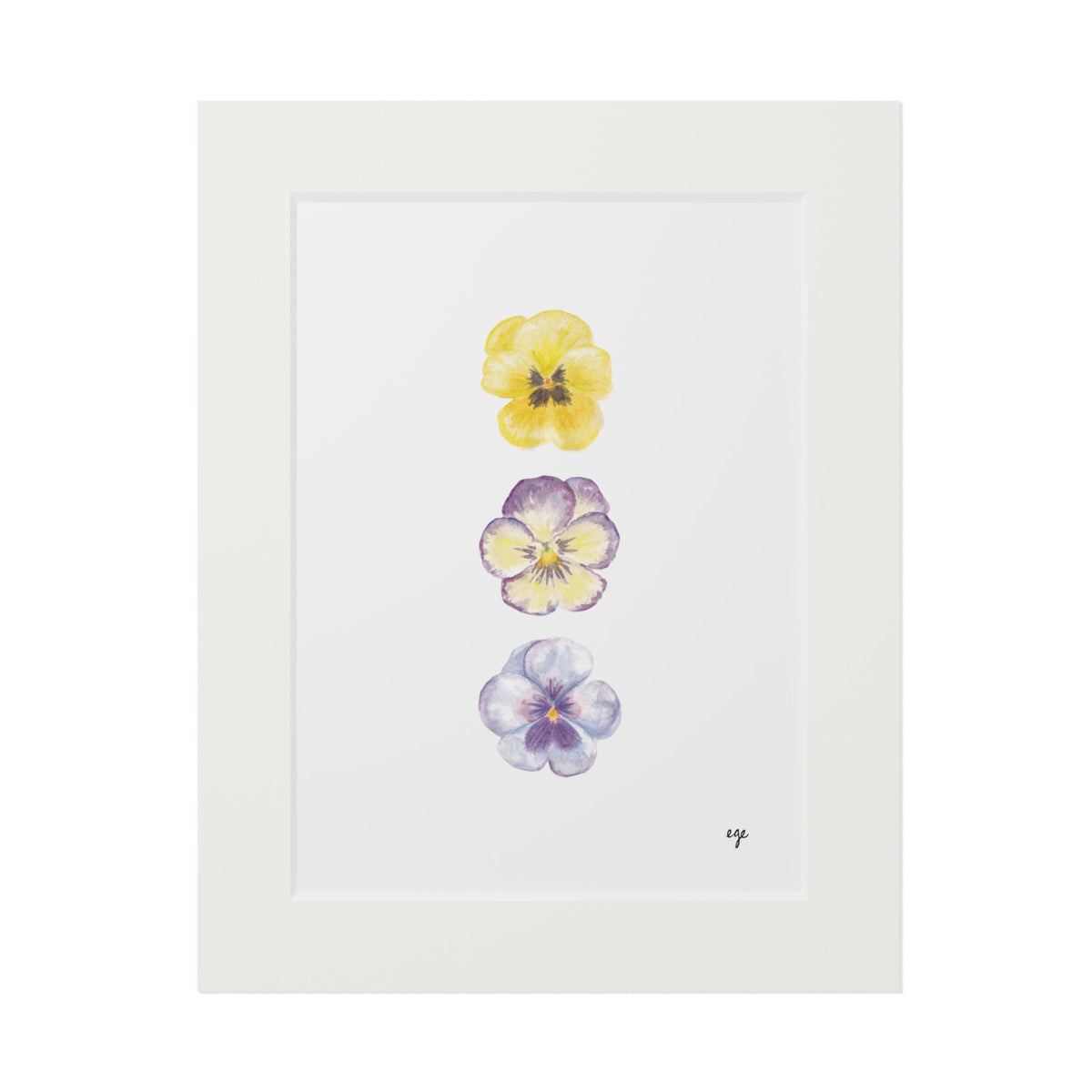 "Mom's Spring Planter" Pansy Trio Fine Art Print