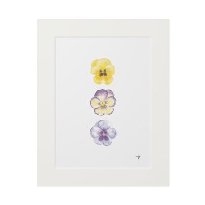 "Mom's Spring Planter" Pansy Trio Fine Art Print