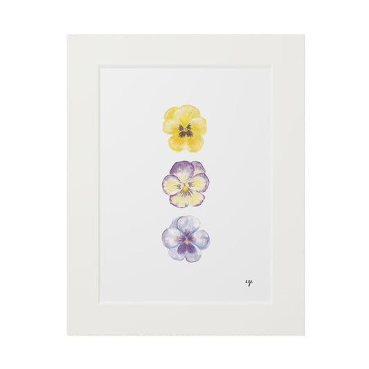 "Mom's Spring Planter" Pansy Trio Fine Art Print