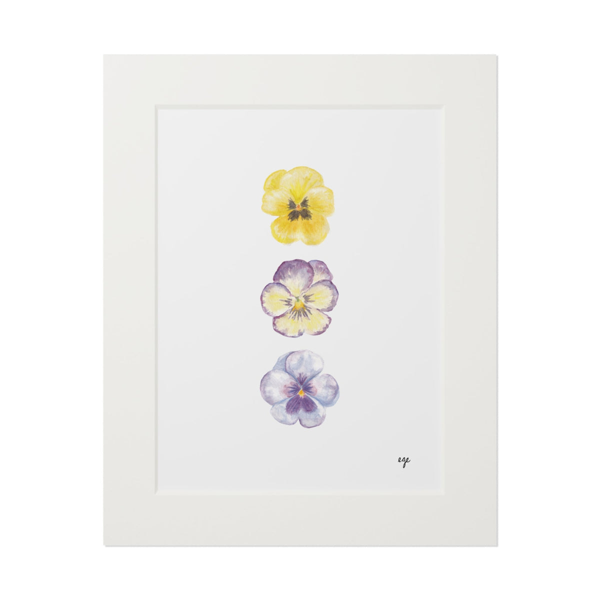"Mom's Spring Planter" Pansy Trio Fine Art Print