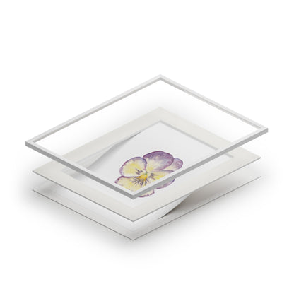 "Single Pansy" Fine Art Print