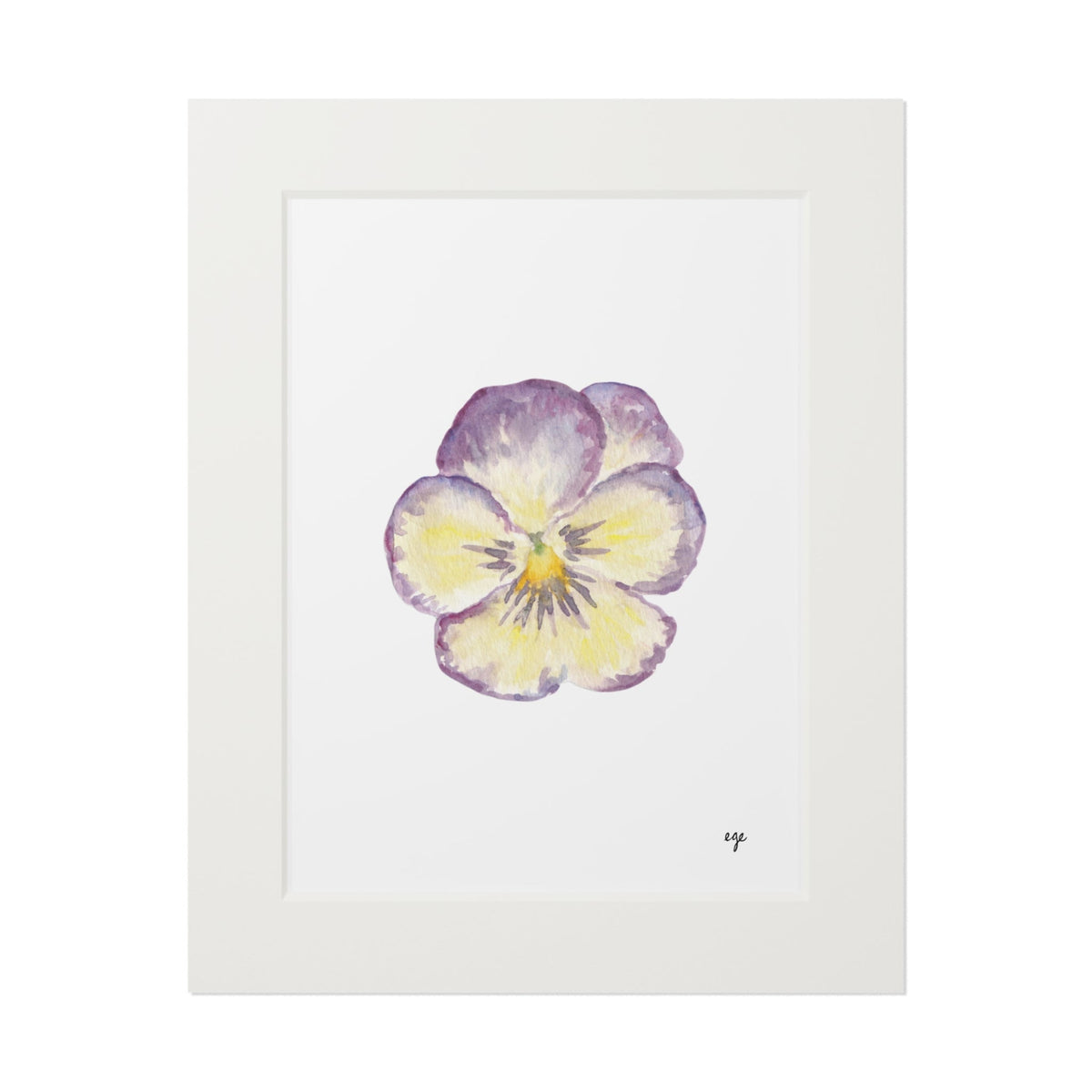 "Single Pansy" Fine Art Print