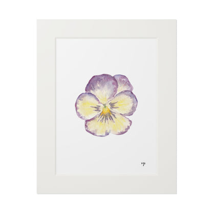 "Single Pansy" Fine Art Print