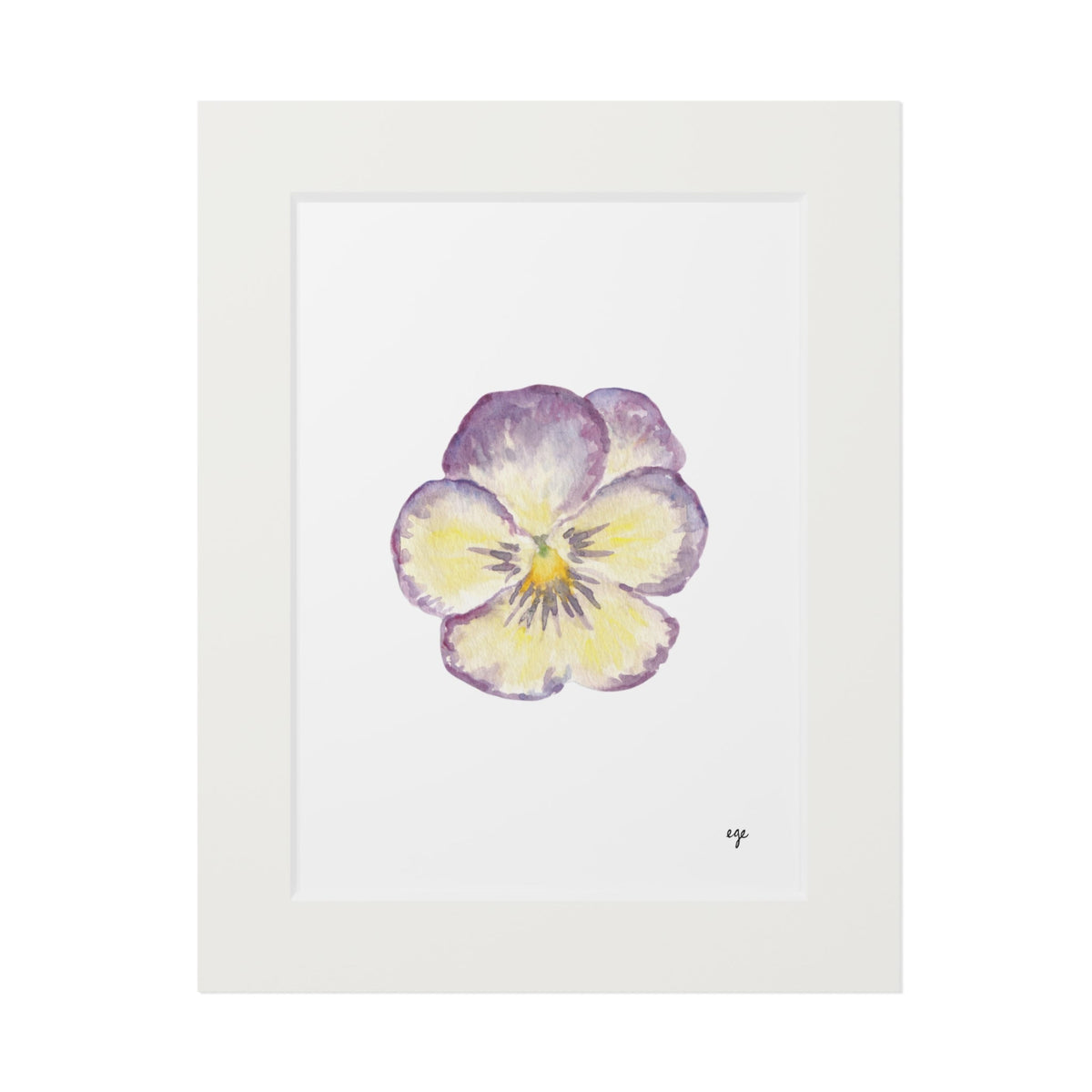 "Single Pansy" Fine Art Print
