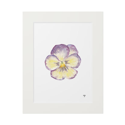 "Single Pansy" Fine Art Print