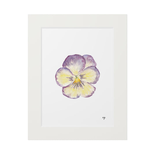 "Single Pansy" Fine Art Print