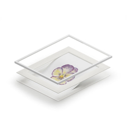 "Single Pansy" Fine Art Print