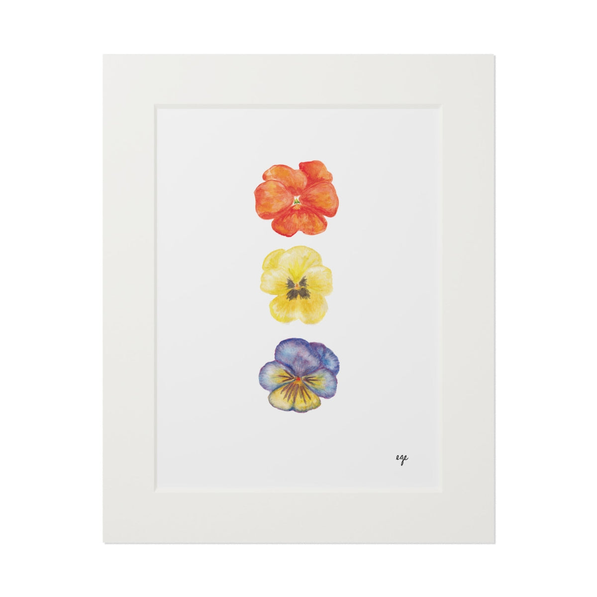 "Sunset" Pansy Trio Fine Art Print
