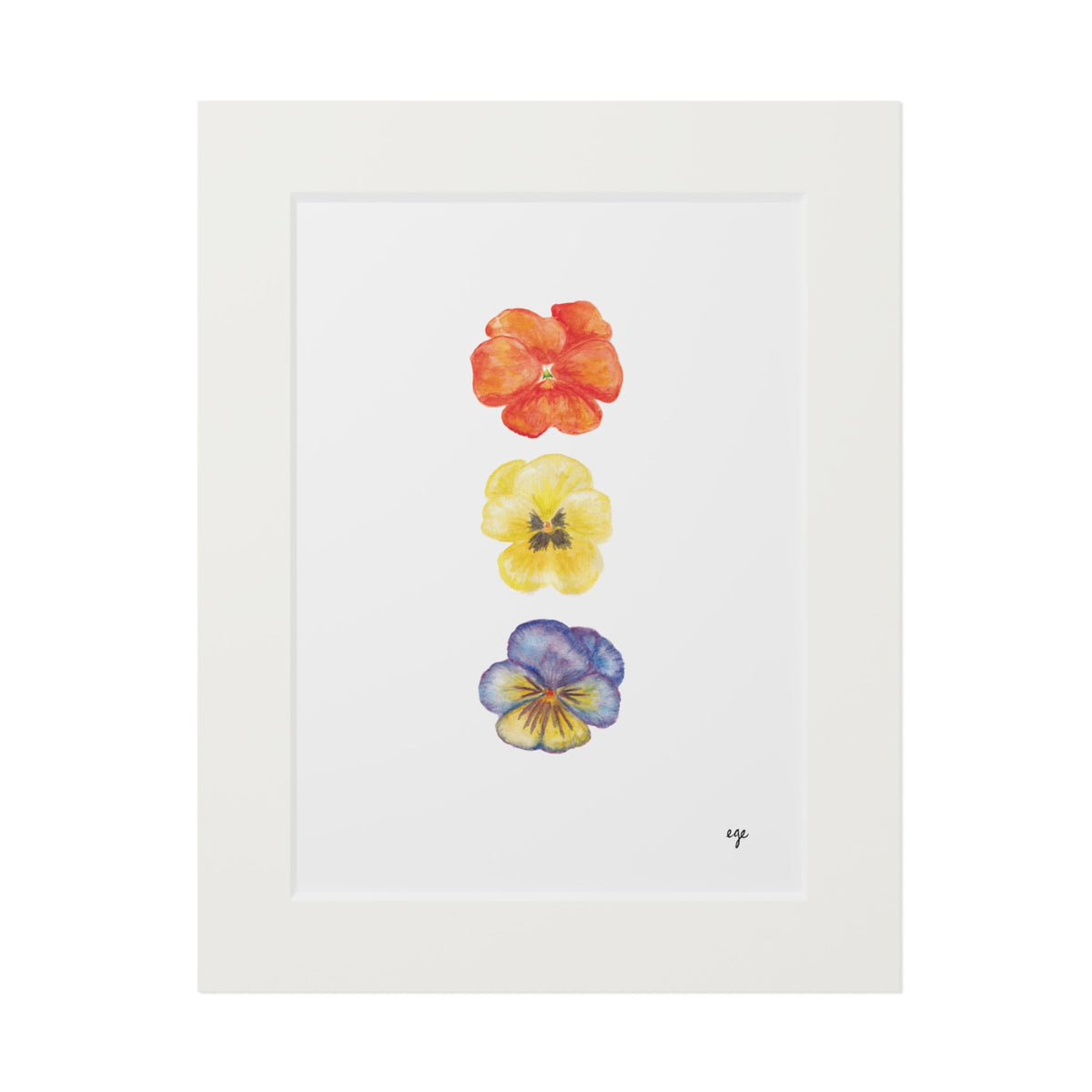 "Sunset" Pansy Trio Fine Art Print