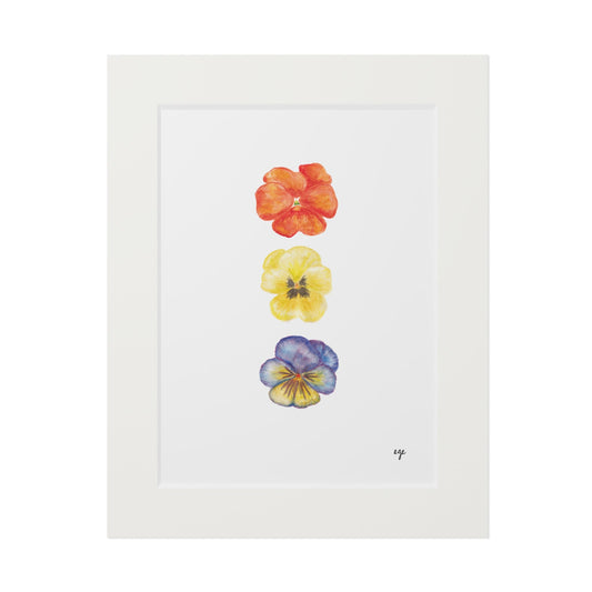 "Sunset" Pansy Trio Fine Art Print