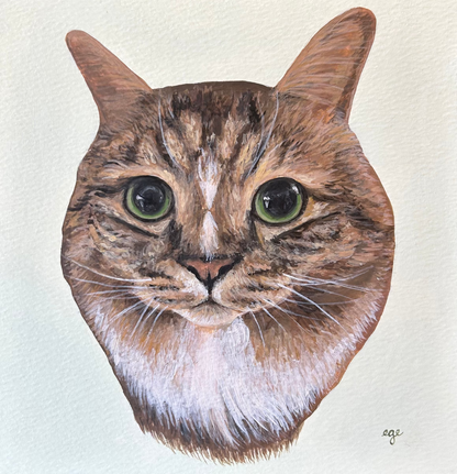 Pet Portraits Examples