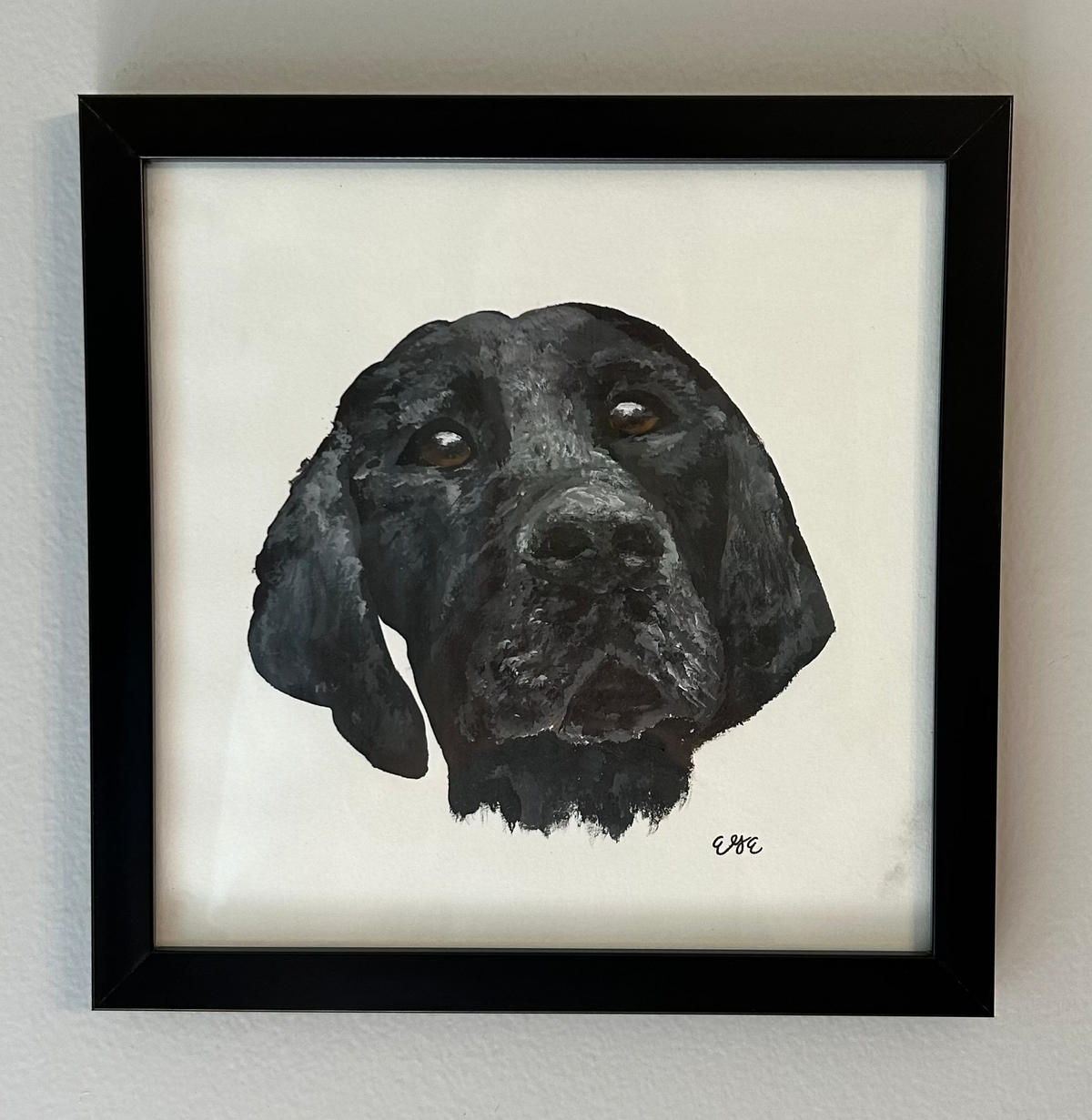 Pet Portraits Examples