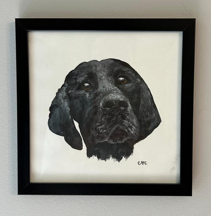 Pet Portraits Examples