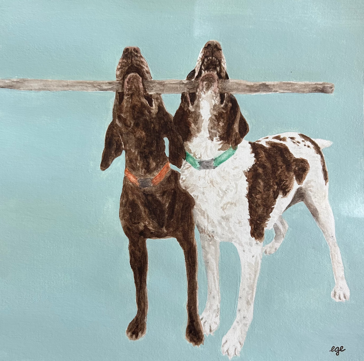 Pet Portraits Examples
