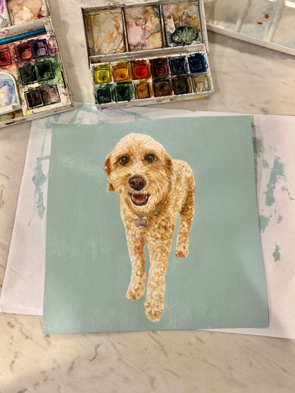 Pet Portraits Examples