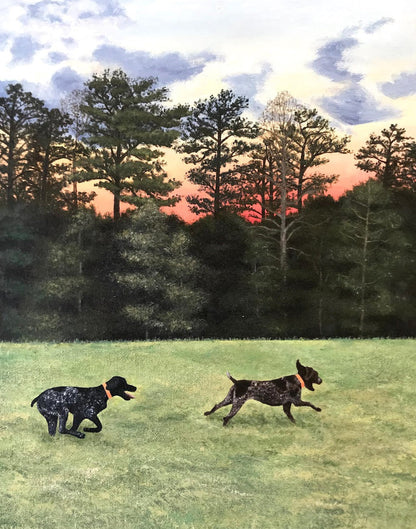 Pet Portraits Examples